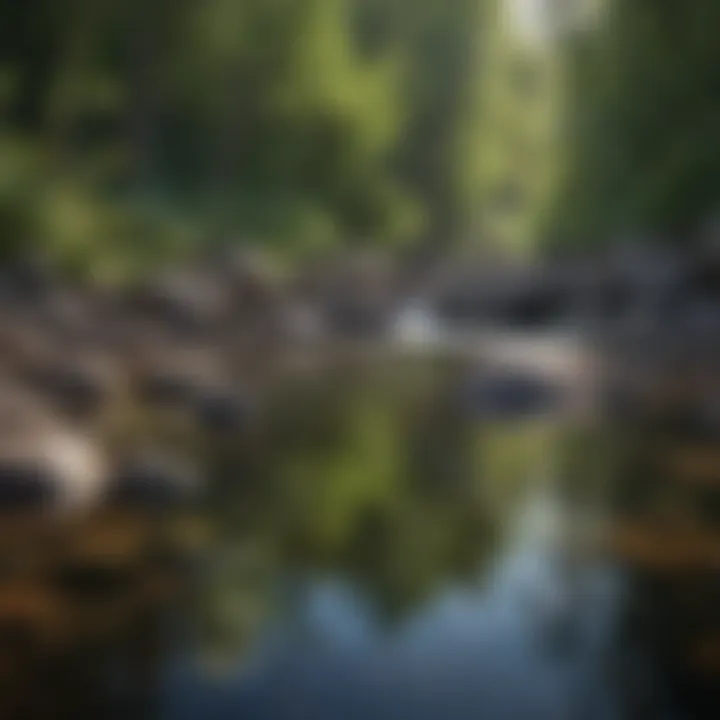 Crystal Clear Waters Reflecting Serenity of Glidden Mountain Stream