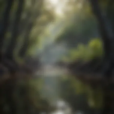 Graceful inshore saltwater fish navigating through mangrove roots