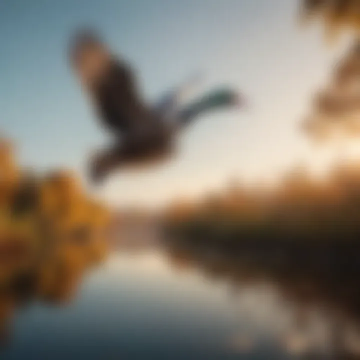 Graceful waterfowl in flight over a serene lake