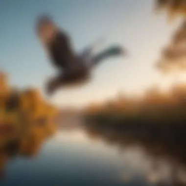 Aerial Elegance of Waterfowl Graceful waterfowl in flight over a serene lake