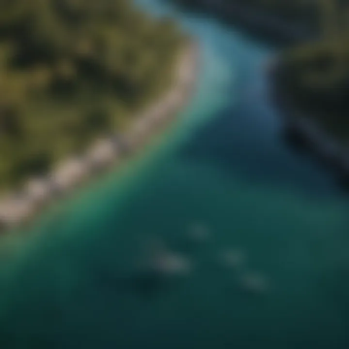 An aerial view of a coastal lagoon where sharks can be seen swimming