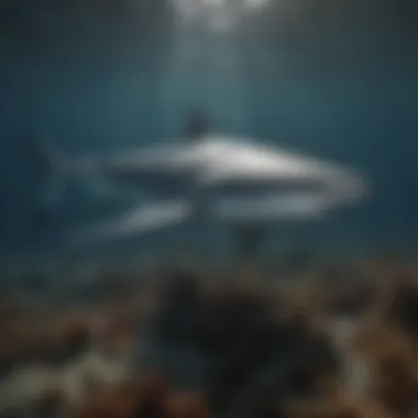 Pelagic Shark Habitats in Deep Oceans Deep ocean currents showcasing the environment where pelagic sharks thrive