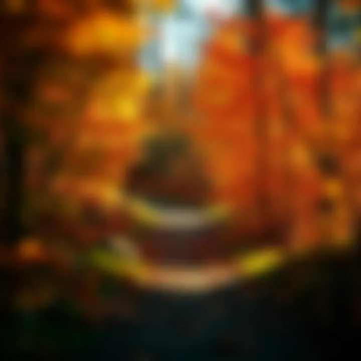 Autumn Colors on the Trail Vibrant autumn foliage along a hiking path