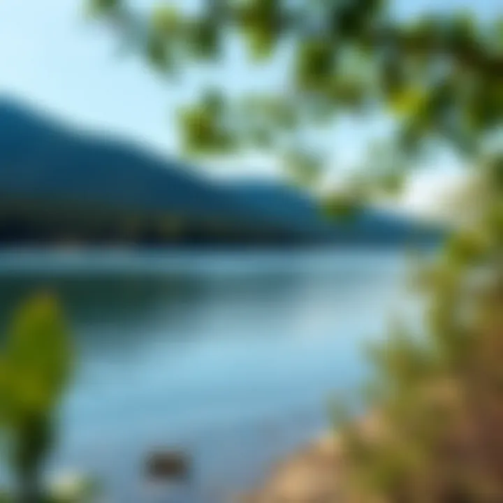 Lakeside Tranquility Peaceful lakeside view on a hiking route