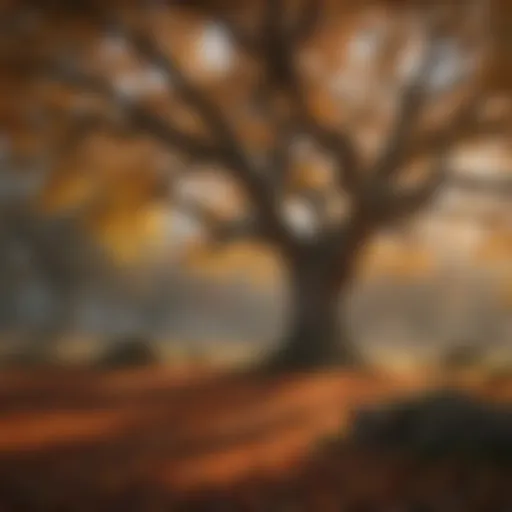 Majestic Oak Tree in Autumn