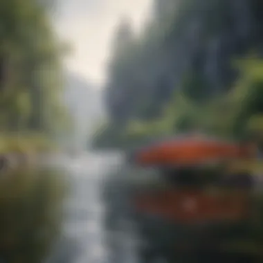 Sustainable Salmon Fishing Practices An eco-friendly fishing setup by the riverbank