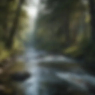 A serene freshwater river teeming with salmon