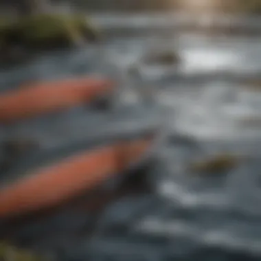Salmon Migration Patterns Illustrated A detailed map highlighting salmon migration routes