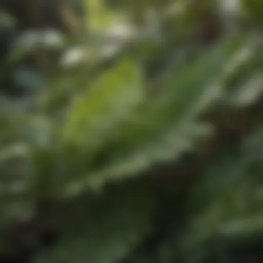 Close-up of vibrant bush leaves displaying various textures.