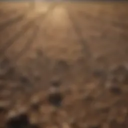 Drought-affected crop fields illustrating the impact of climate change