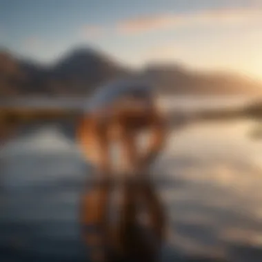 Unearthing the Ripple Effects of Licensing Strategies Impact of Licensing Strategies