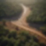 Stunning aerial view of a lush forest contrasted with barren land due to climate change