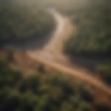 Contrasting Ecosystems: Forest and Barren Land Stunning aerial view of a lush forest contrasted with barren land due to climate change