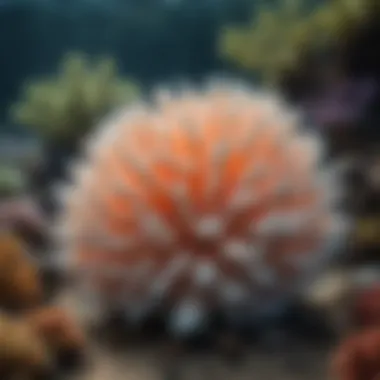 Coral Bleaching: A Threat to Marine Life Underwater scene showcasing coral bleaching and its effects on marine biodiversity