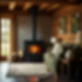 Integrating a Wood Burning Stove Into Your Home Introduction