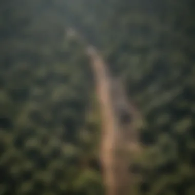 Aerial view of deforestation showing the impact of climate change