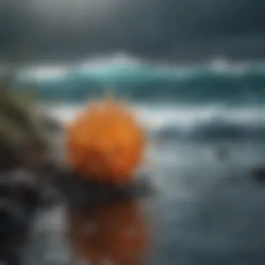 Effects of Ocean Acidification Visual representation of ocean acidification and its effects