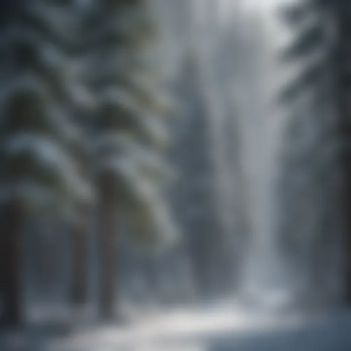 A winter landscape showcasing evergreen trees blanketed with snow