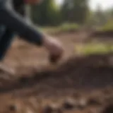 A licensed site remediation professional analyzing soil samples outdoors.