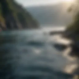 A serene ocean view illustrating the importance of sustainable fishing practices.