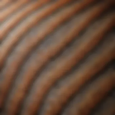 Close-Up of a Lizard's Scales and Patterns Close-up of a lizard's distinctive scales and patterns
