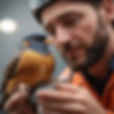 Compassionate Care: A Helping Hand for Wildlife A close-up of a rescue team member gently caring for an injured bird, illustrating compassionate wildlife aid.