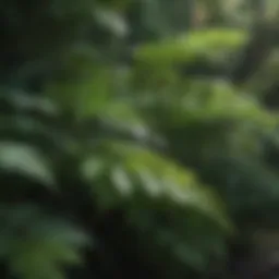 Lush Green Bush with Vibrant Leaves