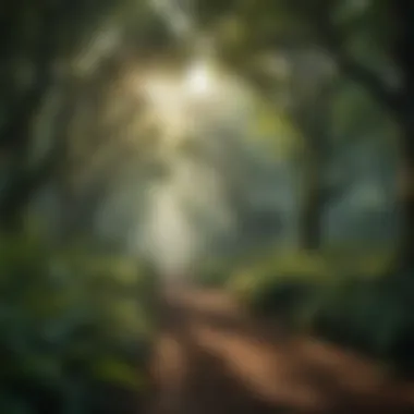 Sustainable Biodiversity Conservation Lush Green Forest Canopy