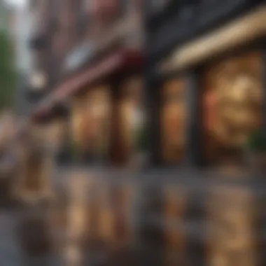 Opulent Boulevard of Style Luxurious Boutique Street in Gilt New York