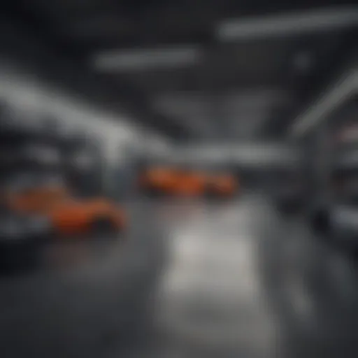 Luxurious Car Storage Facility in Nassau County
