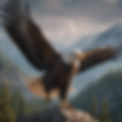 Majestic Bald Eagle soaring in the sky