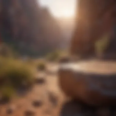 Golden Hour Glow: Majestic Canyon Sunset Majestic Canyon Sunset
