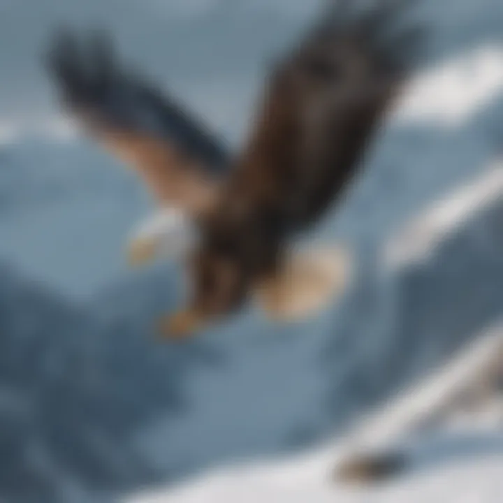 Majestic Eagle Soaring Amongst Snow-Capped Peaks