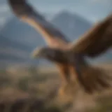 Majestic raptor in flight