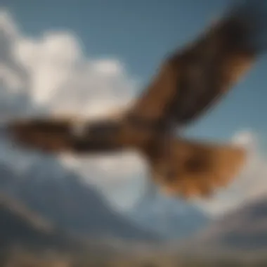 Majestic raptor soaring through the sky