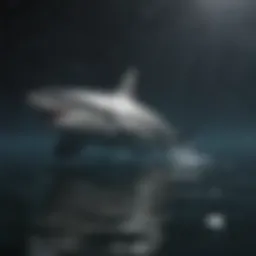 Majestic Shark Swimming in Deep Waters