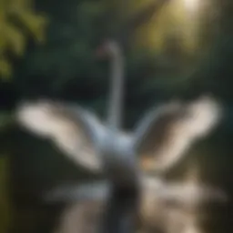 Majestic Swan Gliding on Swan Lake