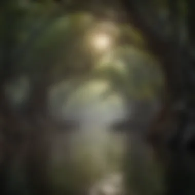 Majestic Mangrove Forest Mangrove Habitat Providing Shelter for Aquatic Species