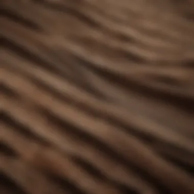 Close-up of Members Mark canopy fabric and its durability.