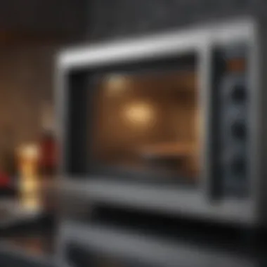 Valuable Components of a Microwave for Recycling Components of a microwave with recycling focus