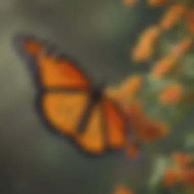Navigating Across Continents Monarch butterfly migration route map