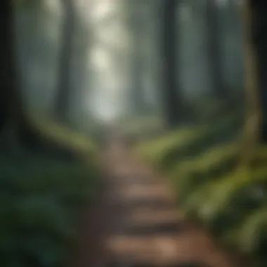 Enchanted Trails: Mystical Forest Pathway Mystical Forest Pathway