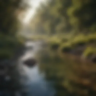 Crystal clear river flowing through a pristine natural landscape