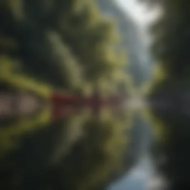 Immersed in Natural Reflections Reflections of Nature
