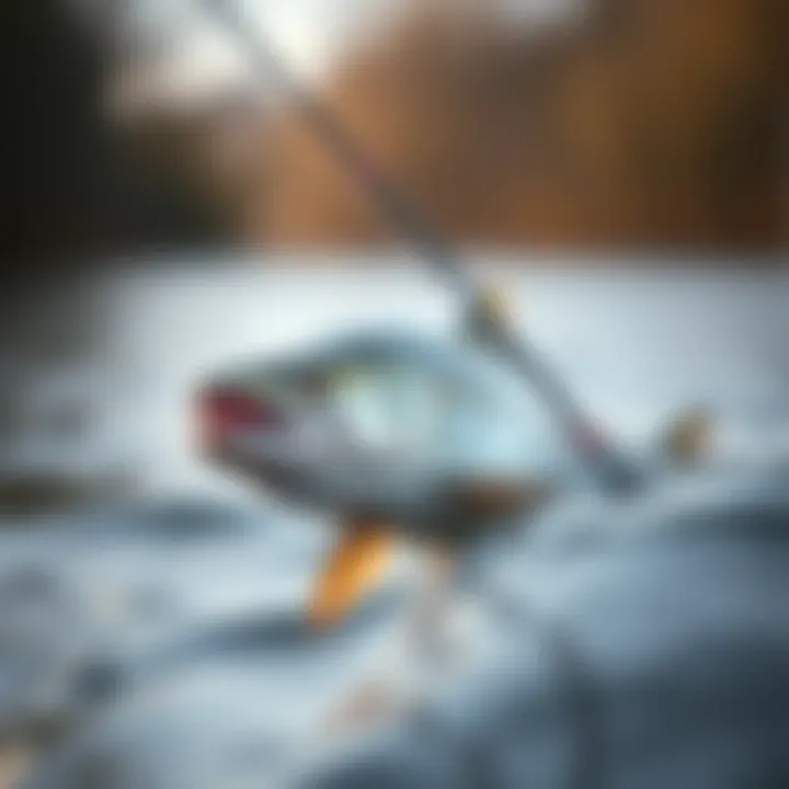 Notable Optimal Fishing Times: Insights on When to Cast Your Line Notable Optimal Fishing Times: Insights on When to Cast Your Line