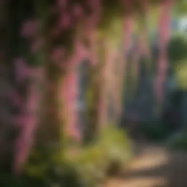 Graceful Pink Vine Graceful Vine with Cascading Pink Flowers