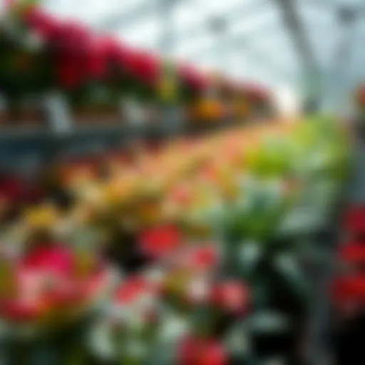 Plant Nursery Work: An In-Depth Examination Introduction