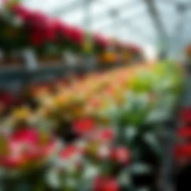 Plant Nursery Work: An In-Depth Examination Introduction Plant Nursery Work: An In-Depth Examination Introduction