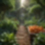 Lush organic vegetable garden
