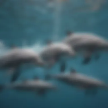 A group of playful bottlenose dolphins swimming in harmony